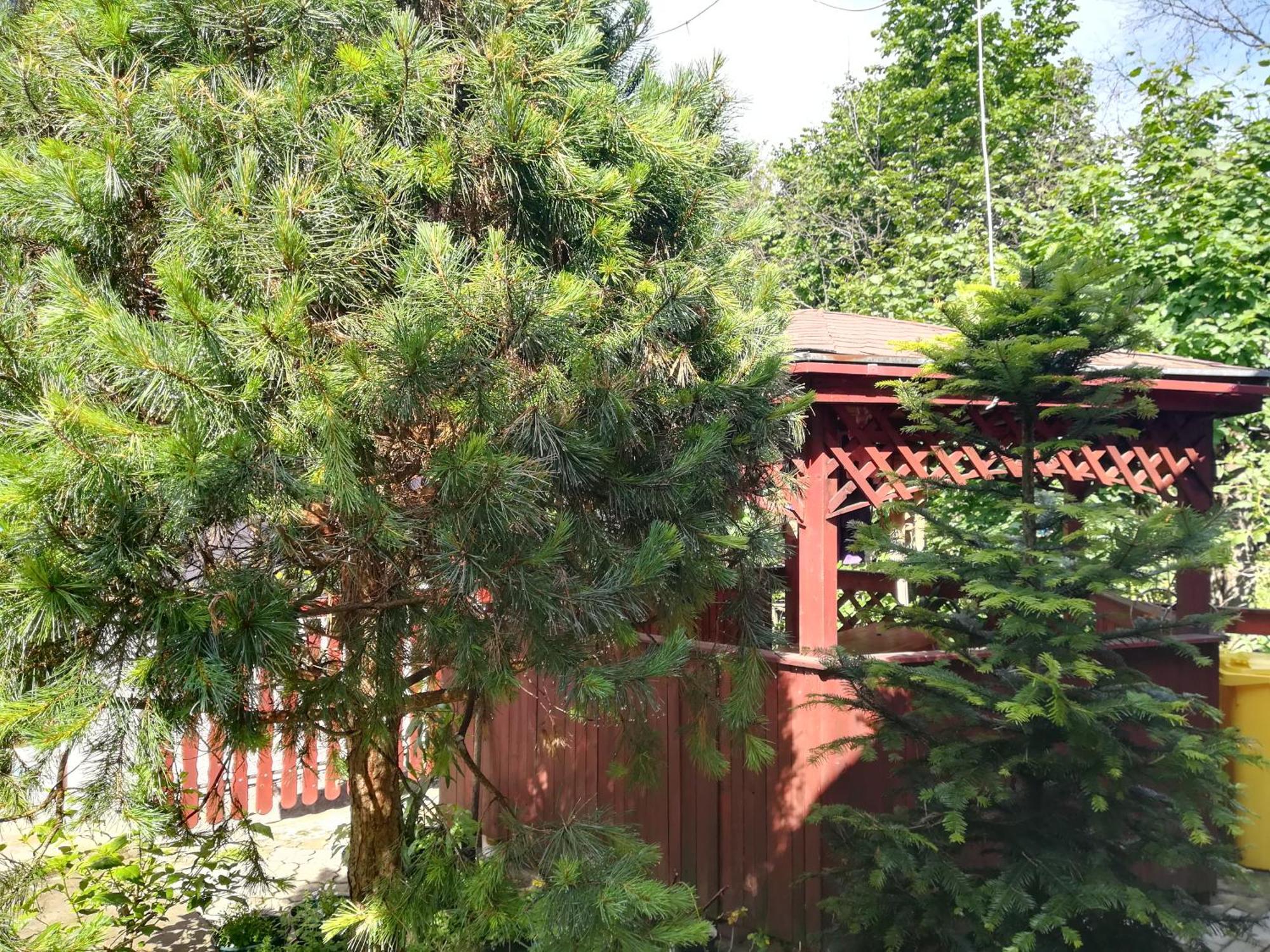 Privat Erika Appartement Liptovský Ján Buitenkant foto